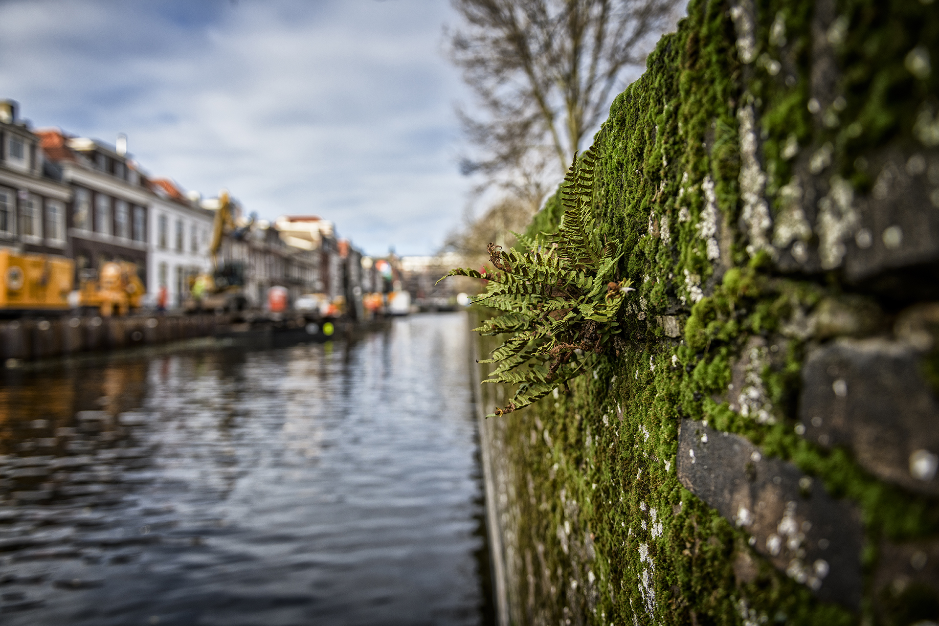 vdBiggelaar (dec2017) - damwanden Toussaintkade Den Haag-351.jpg