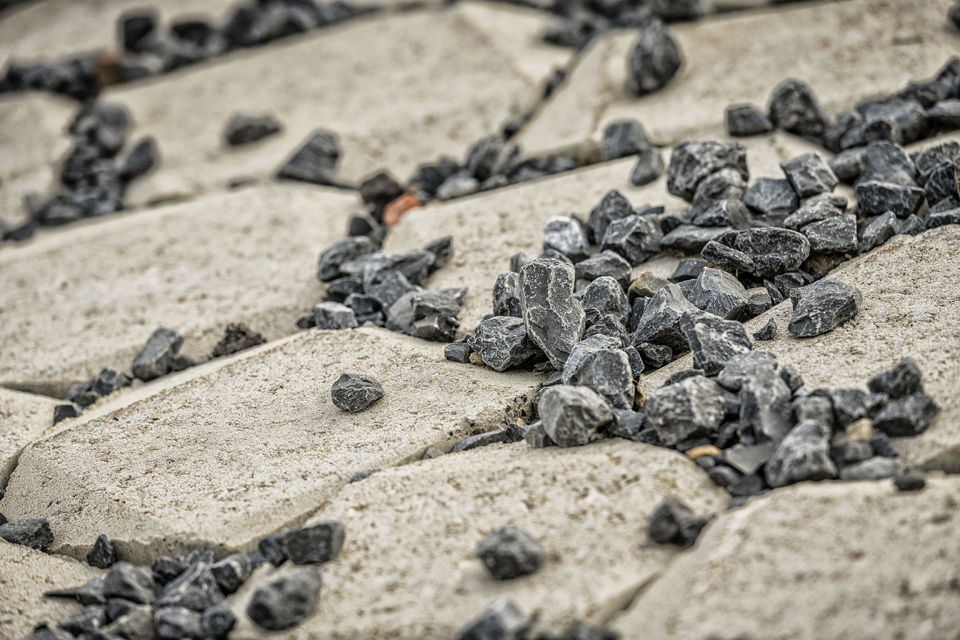 Biggelaar — Delfse Schie-200.jpg