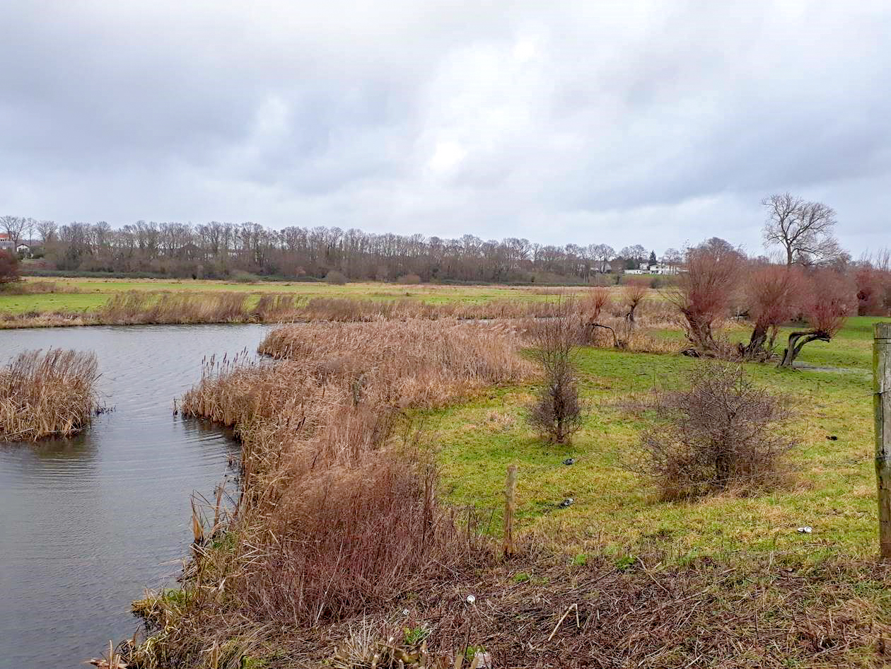 Elster Buitenwaarden