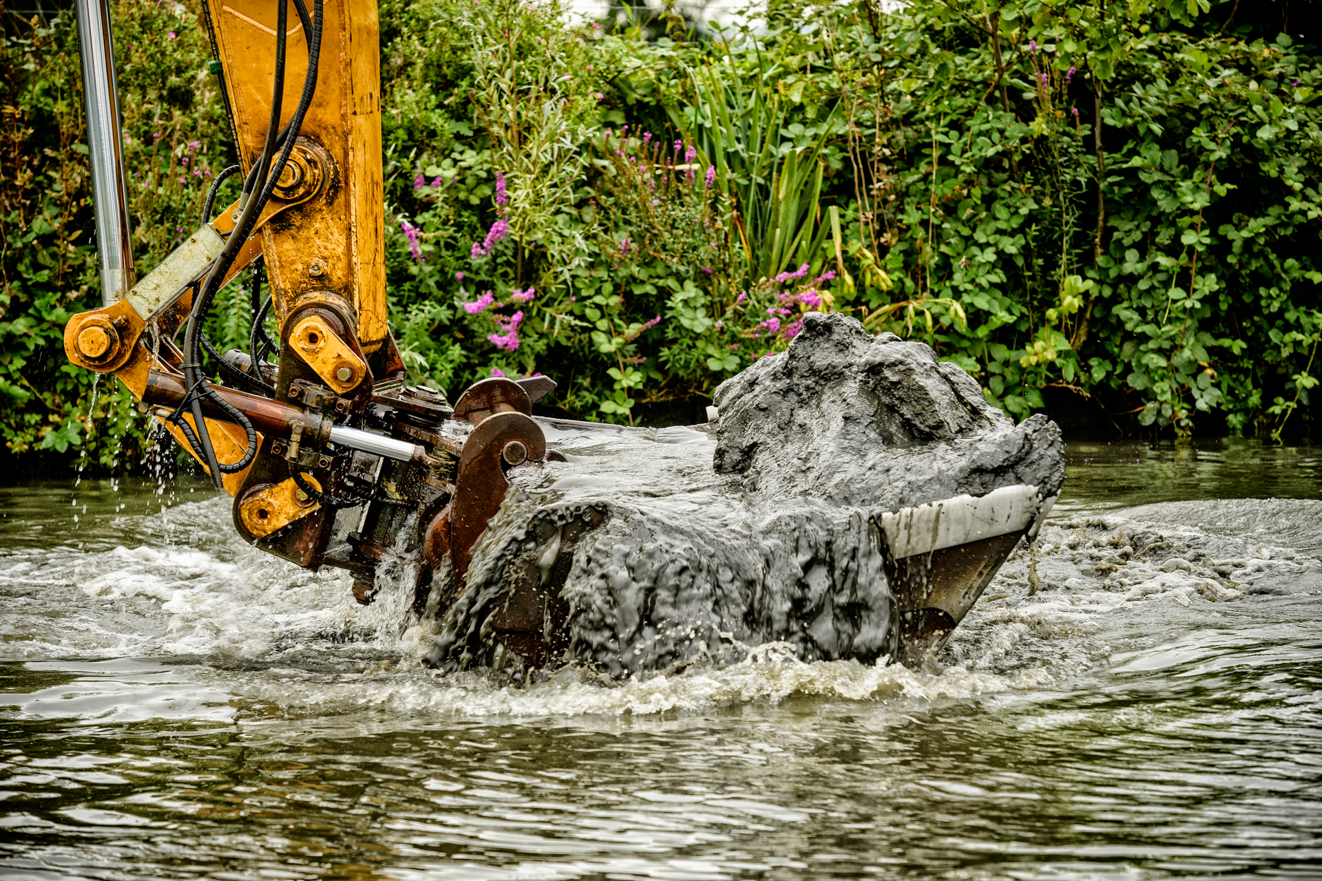 20170905 Biggelaar (Oudewater) 6280 177